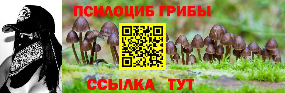 Псилоцибиновые грибы прущие грибы Заволжье