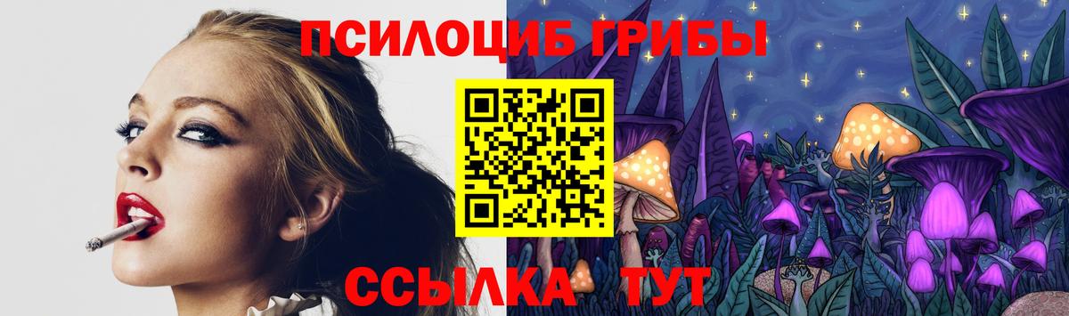 Галлюциногенные грибы Psilocybe  Вход с VPN  Заволжье  Галлюциногенные грибы Magic Shrooms 